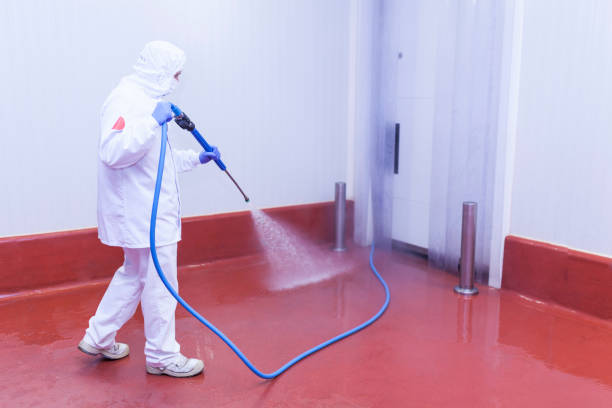 Best Paint Preparation  in Ridgefield Park, NJ
